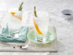  Gin 